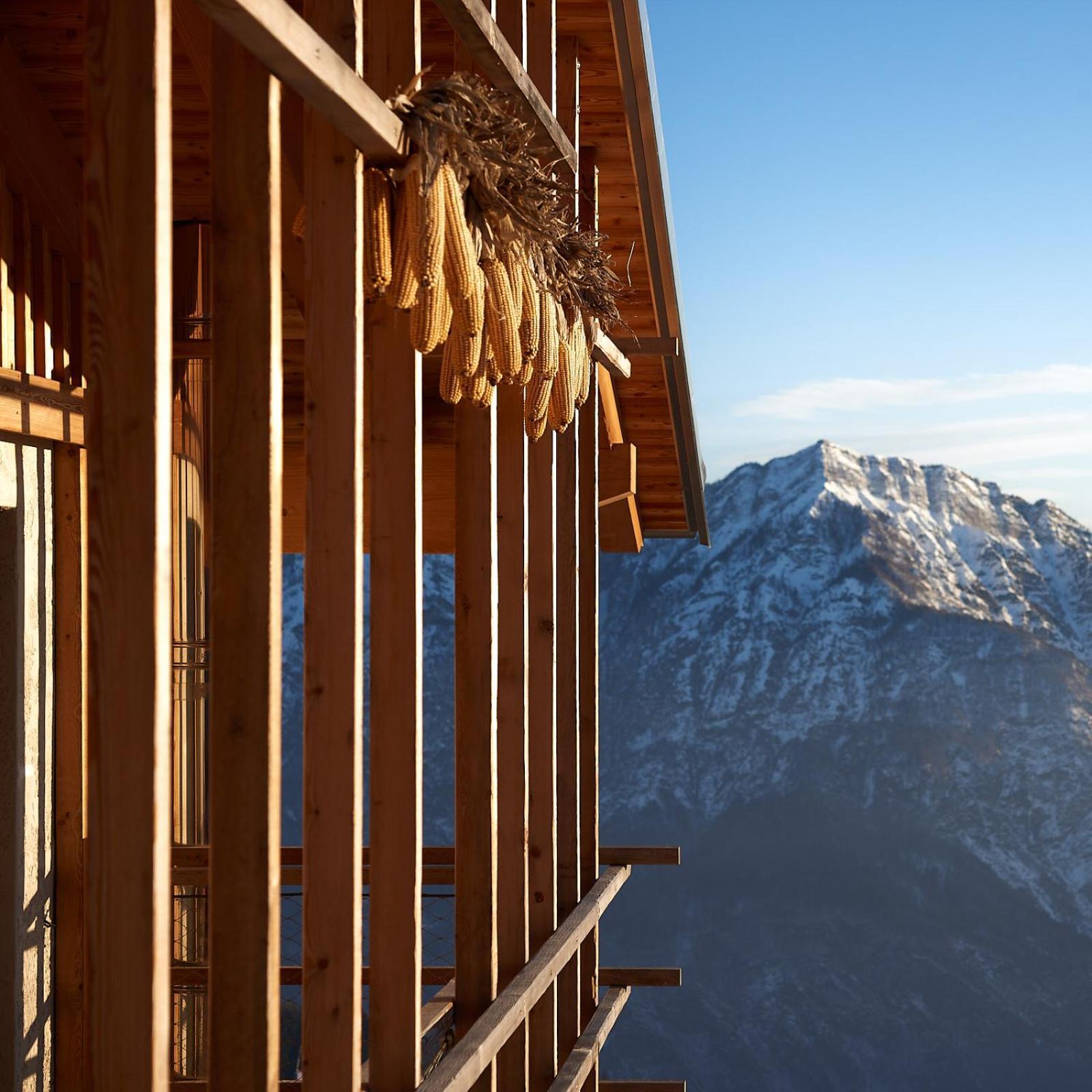 Nif: Alpine Taste Hotel Levico Terme Luaran gambar